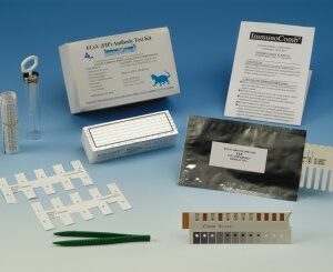 Feline Corona Virus FCoV [FIP] Antibody Test Kit (12 stk.) BIOGAL (50FFP301)