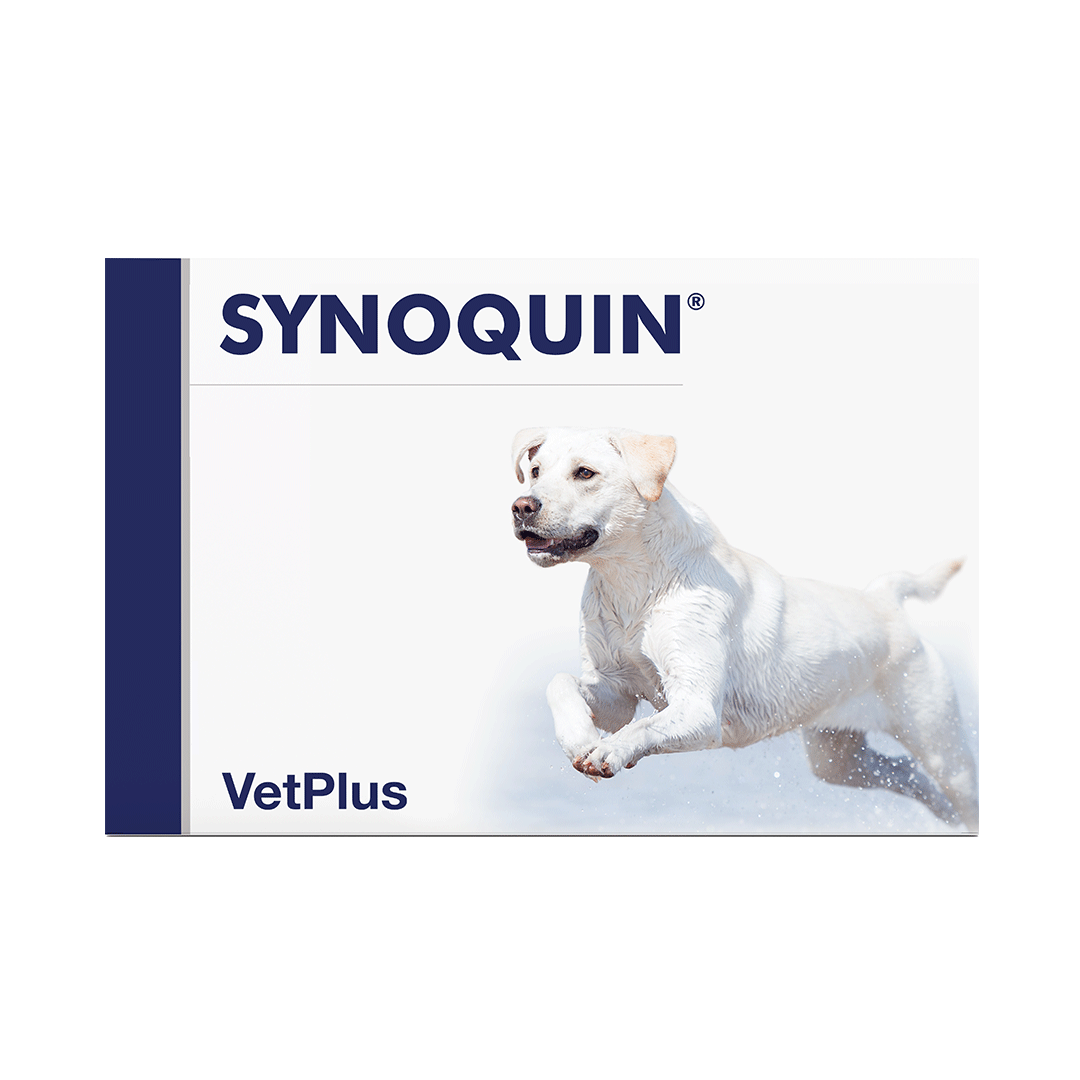 SYNOQUIN® LARGE BREED
